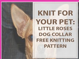 Knitting Patterns For Dogs Little Roses Collar