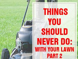 Things You Should Never Do With Your Lawn Part 1 THUMP