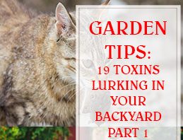 19 Toxins Lurking In Your Backyard Part 1