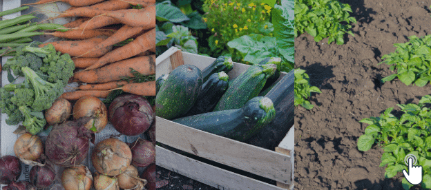 download free vegetable gardening