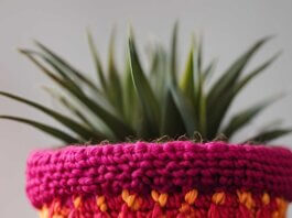 Crochet Flower Pot Pattern Free