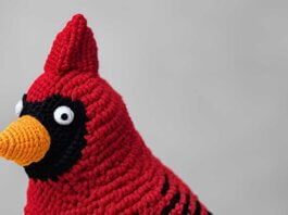 Cardinal Crochet Pattern Free