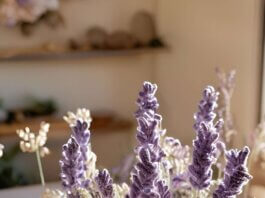 Enchanting Crochet Lavender Display